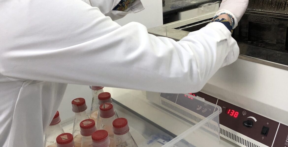 Sustainable Evolution – Co-research