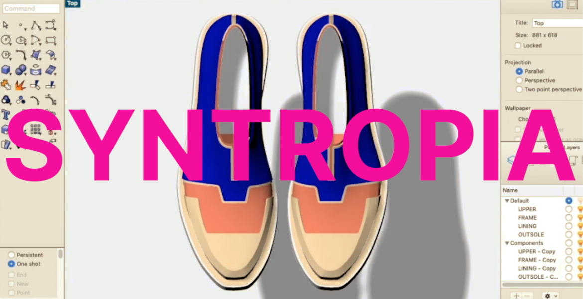 Researching Syntropia