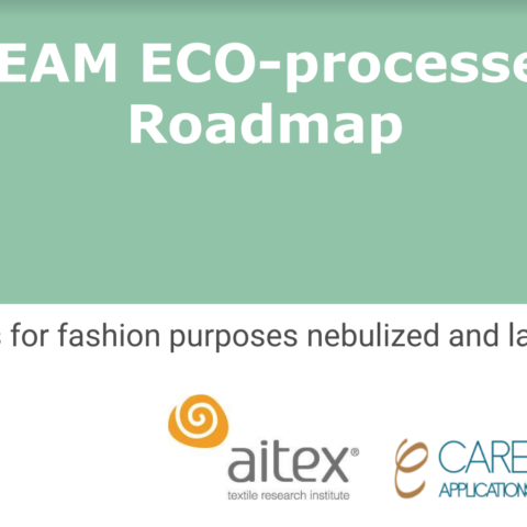 Re-FREAM ECO-processes Hub  Roadmap